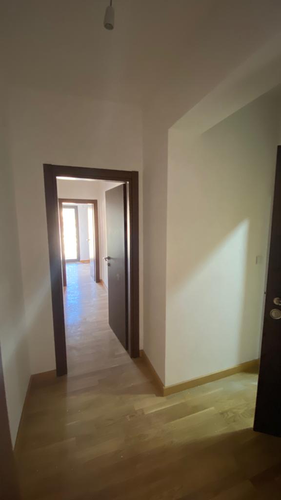 montenegro property market