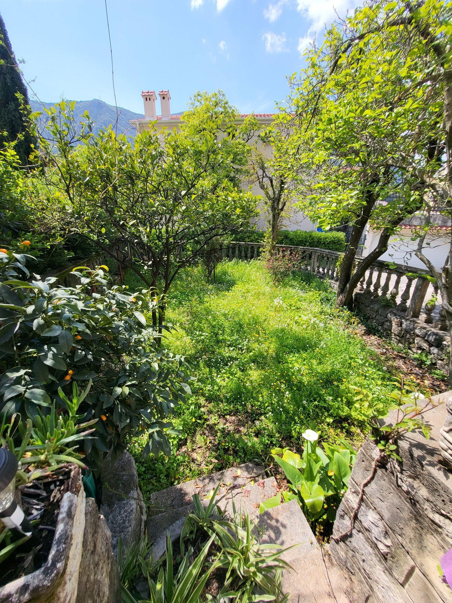 stone house for sale montenegro