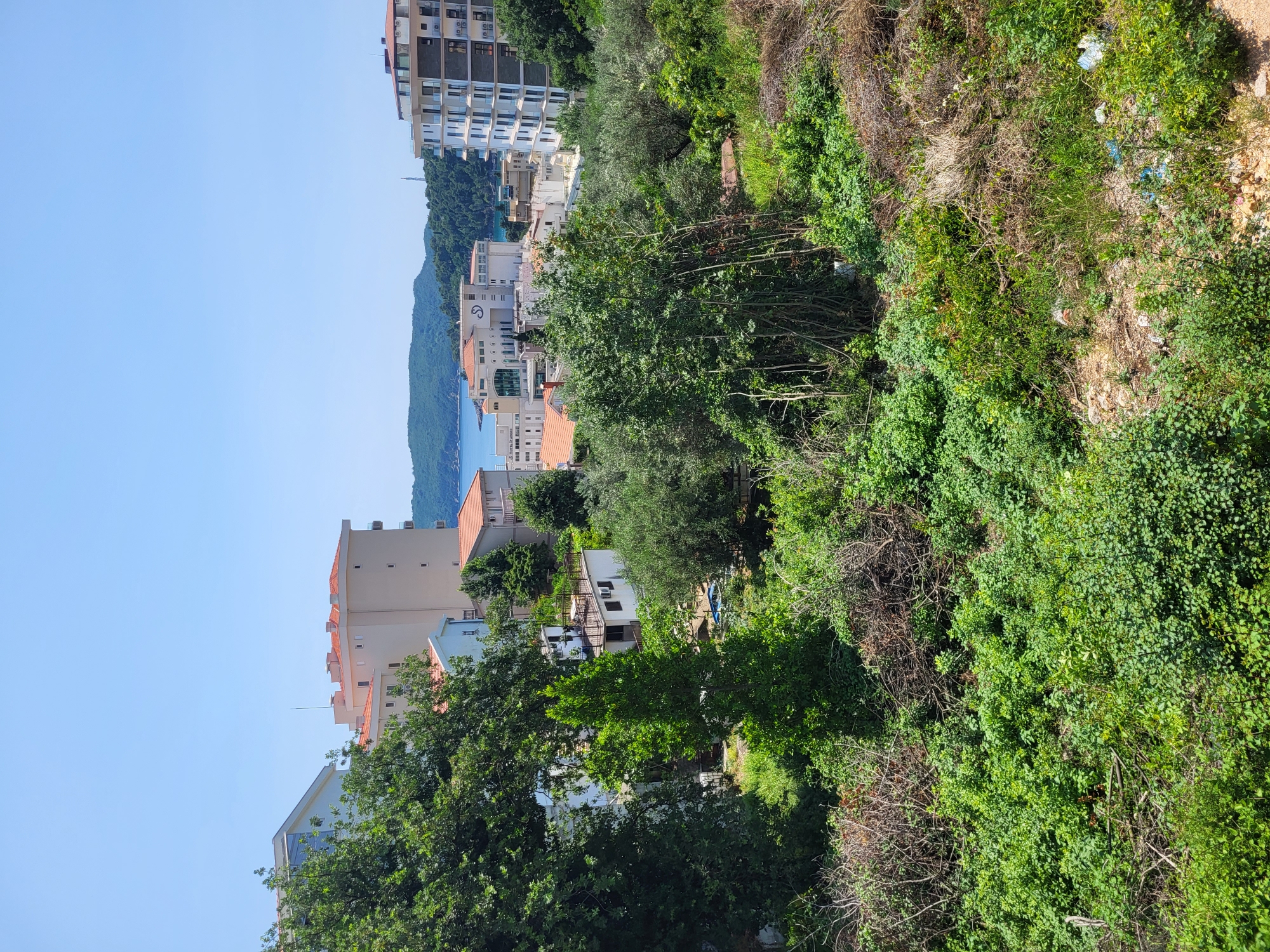 montenegro real estate investment