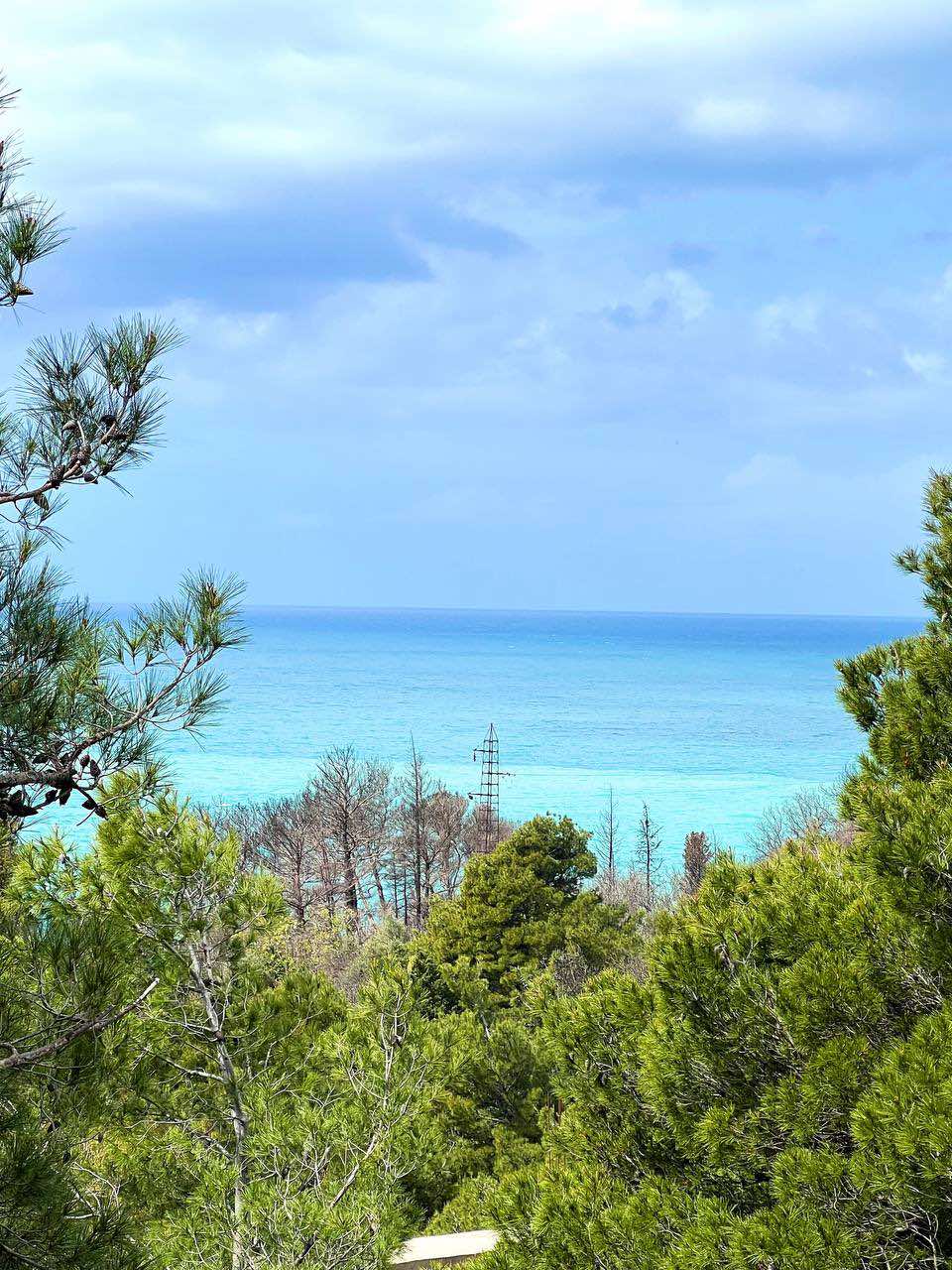 cheap property for sale montenegro