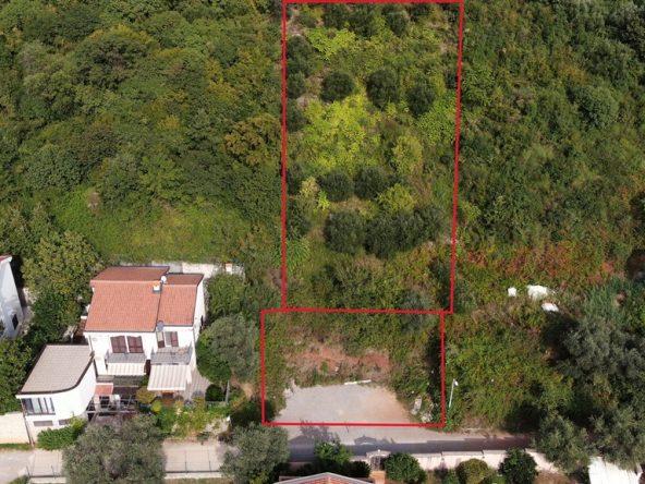 montenegrin investment agency