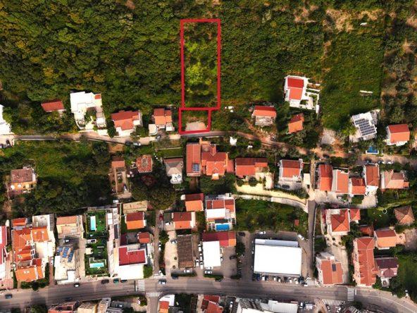 montenegrin investment agency