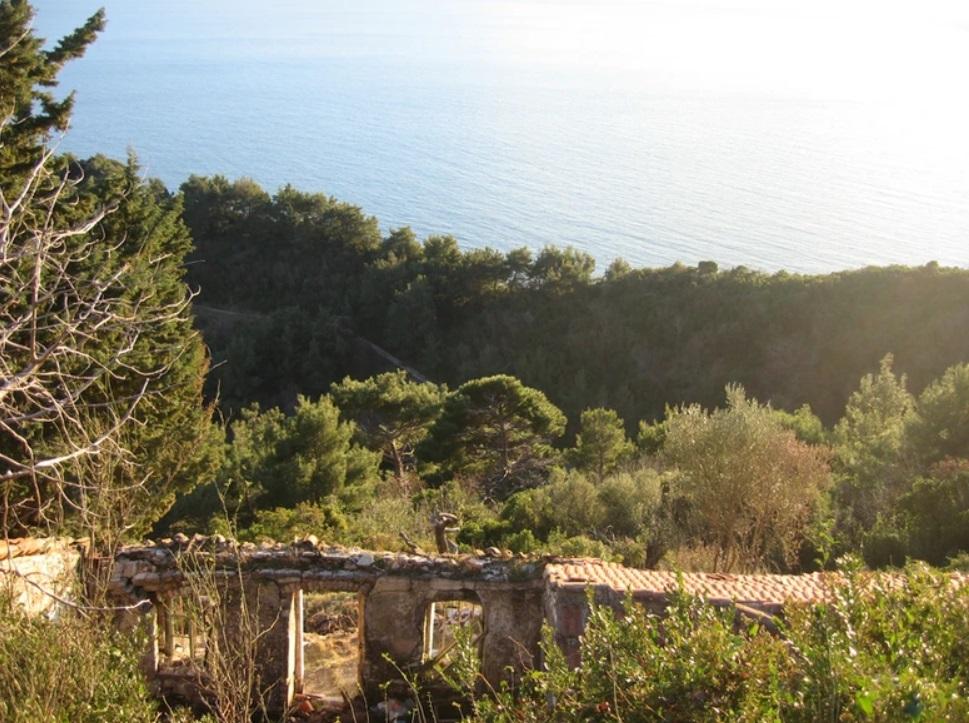 development montenegro