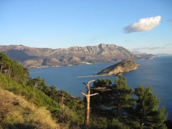 development montenegro