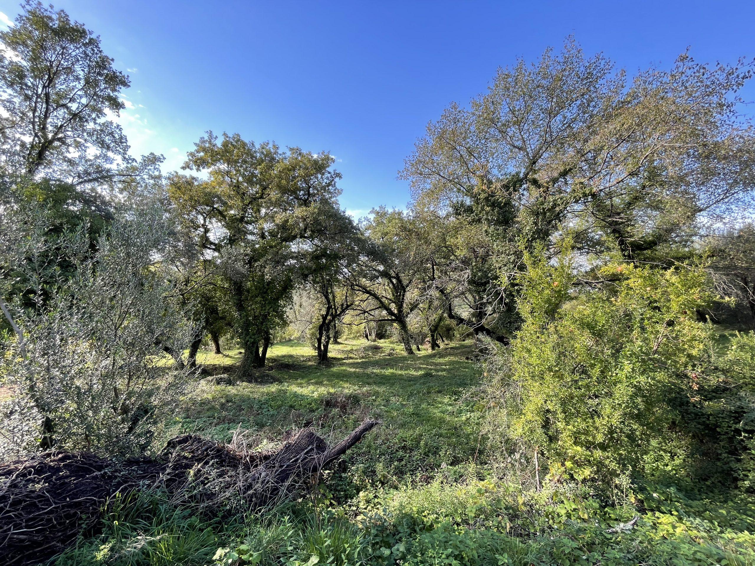 investment property for sale