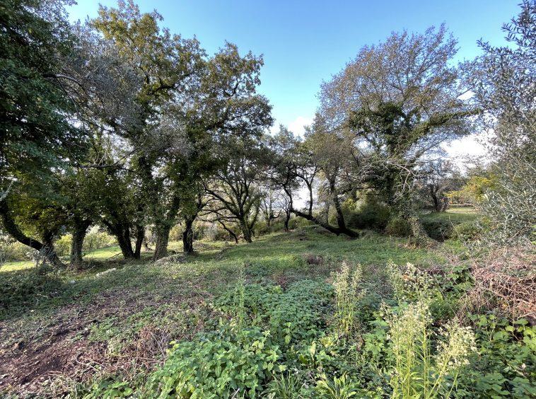 investment property for sale