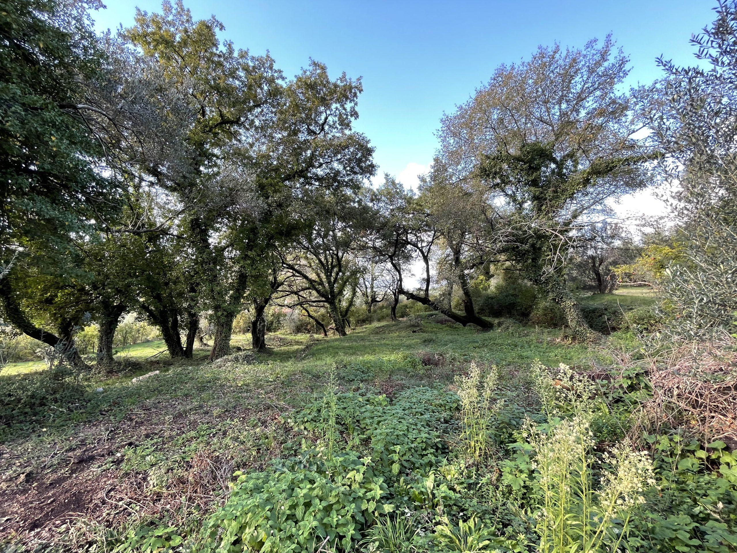 investment property for sale