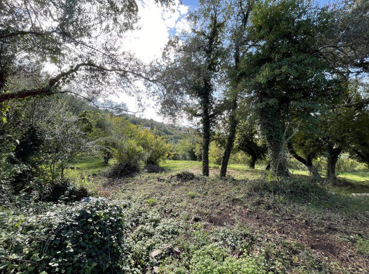 investment property for sale