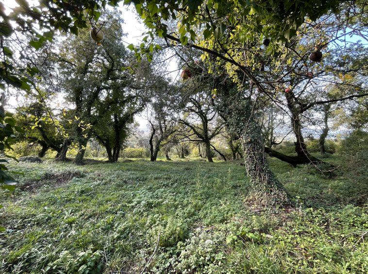 investment property for sale