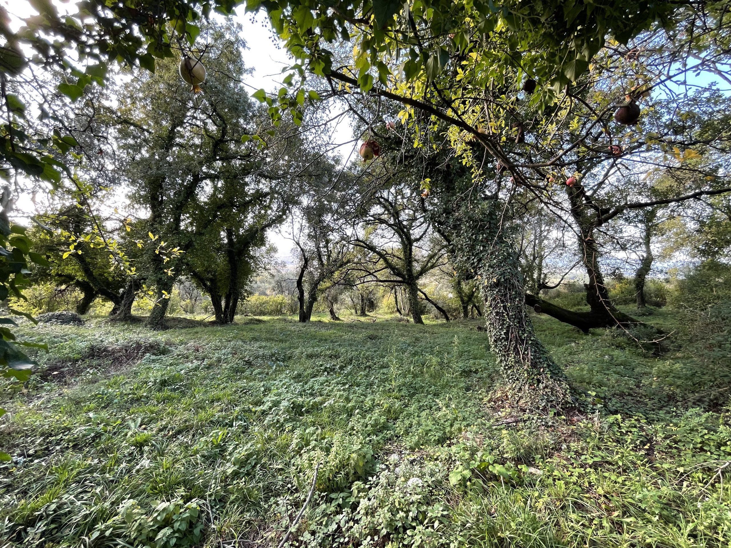 investment property for sale