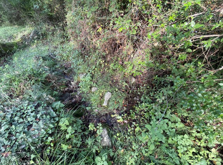 investment property for sale