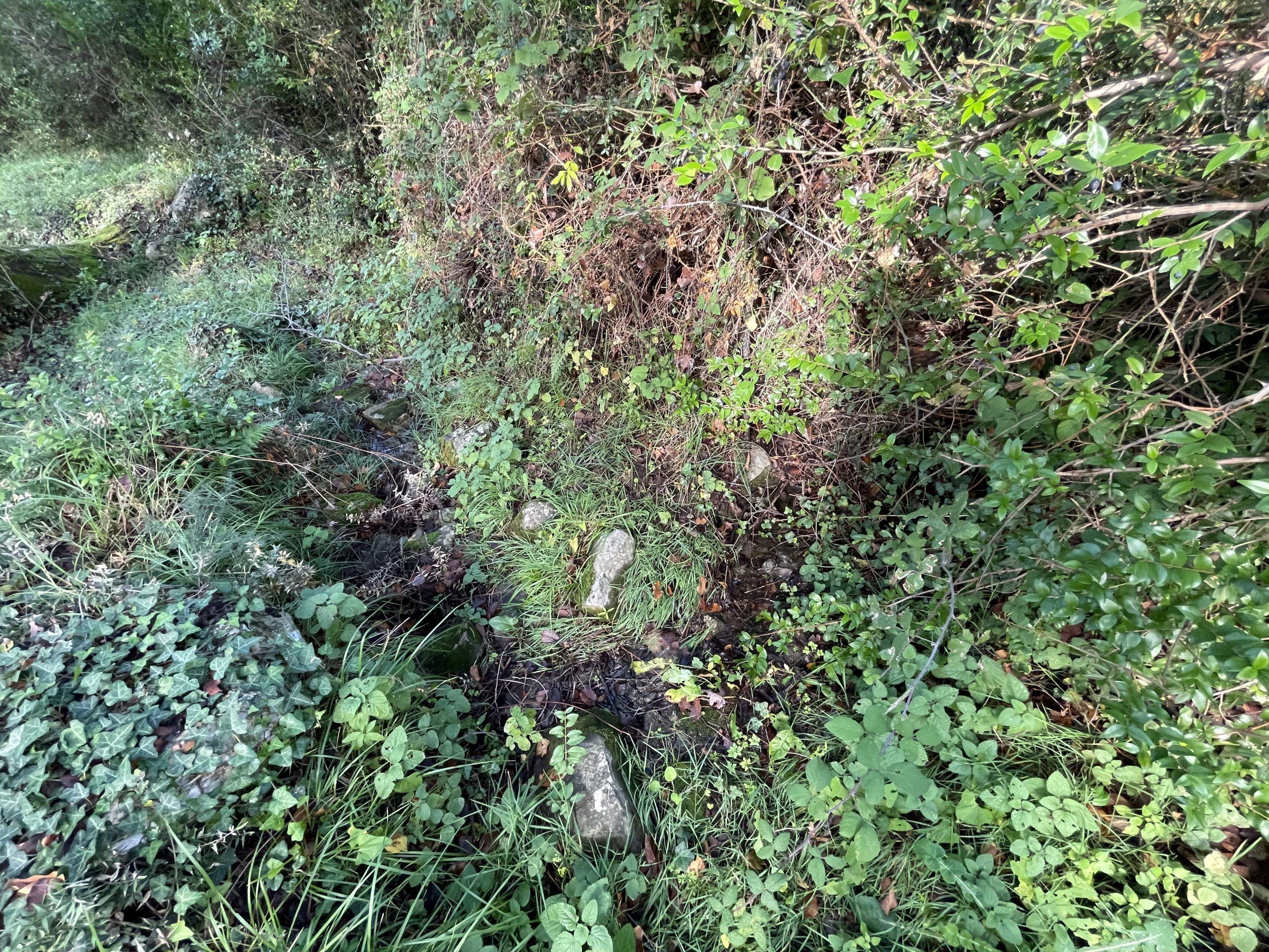 investment property for sale