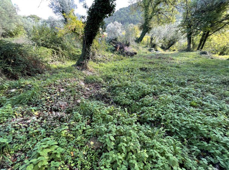 investment property for sale