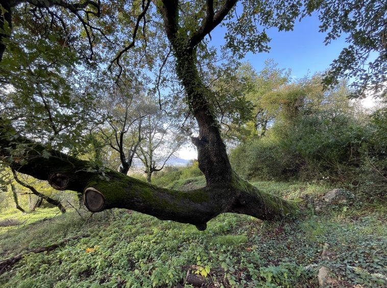 investment property for sale