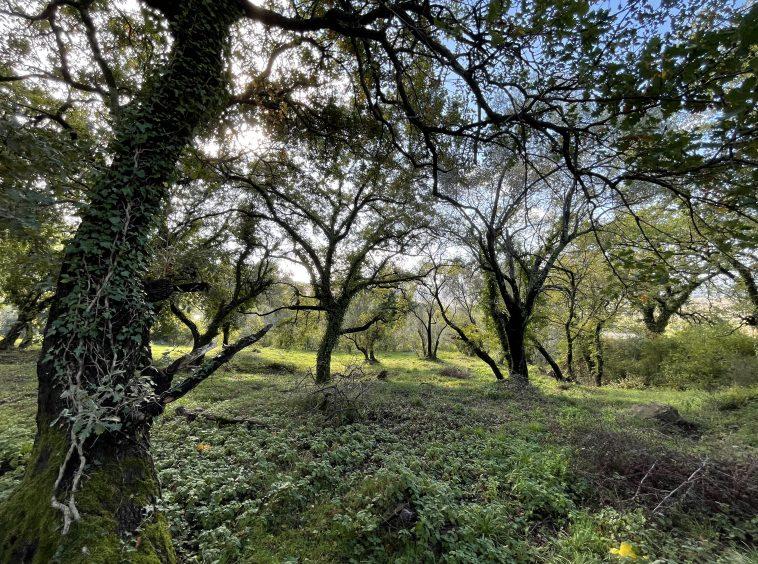 investment property for sale