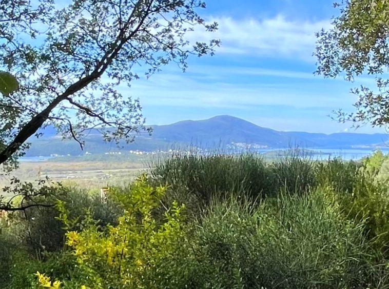 investment property for sale