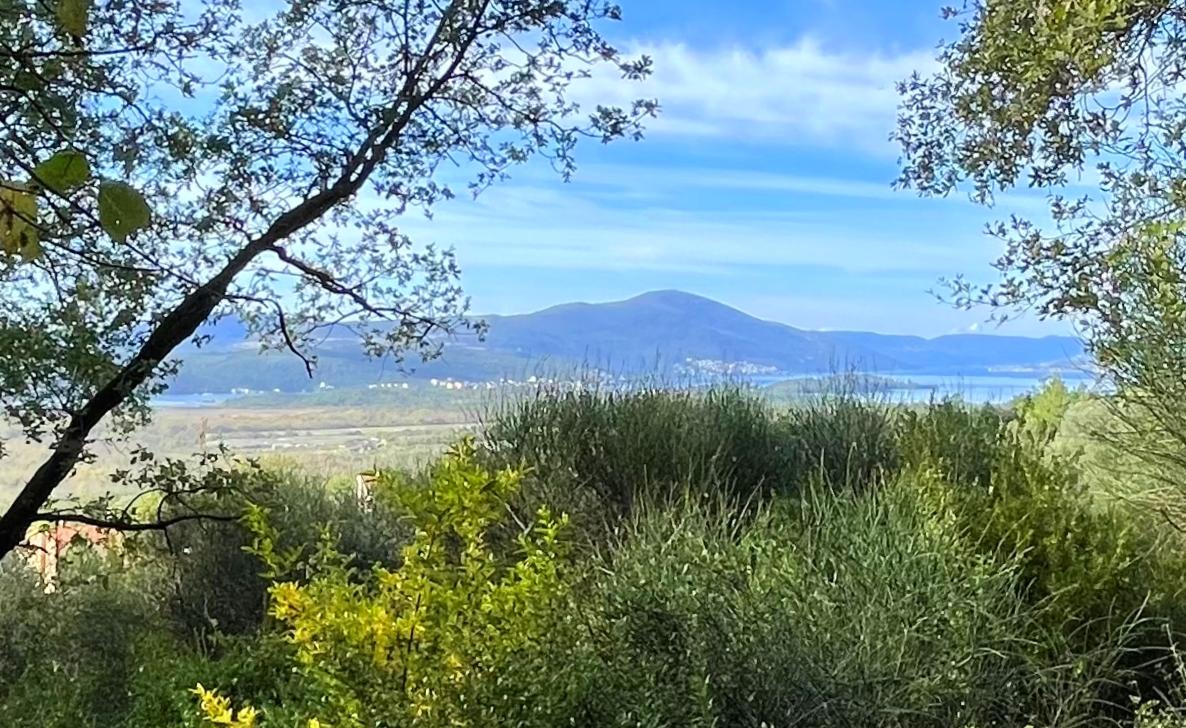 investment property for sale