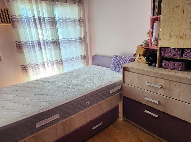 house for sale in Petrovac