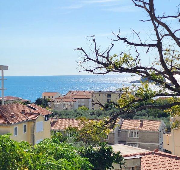 house for sale in Petrovac